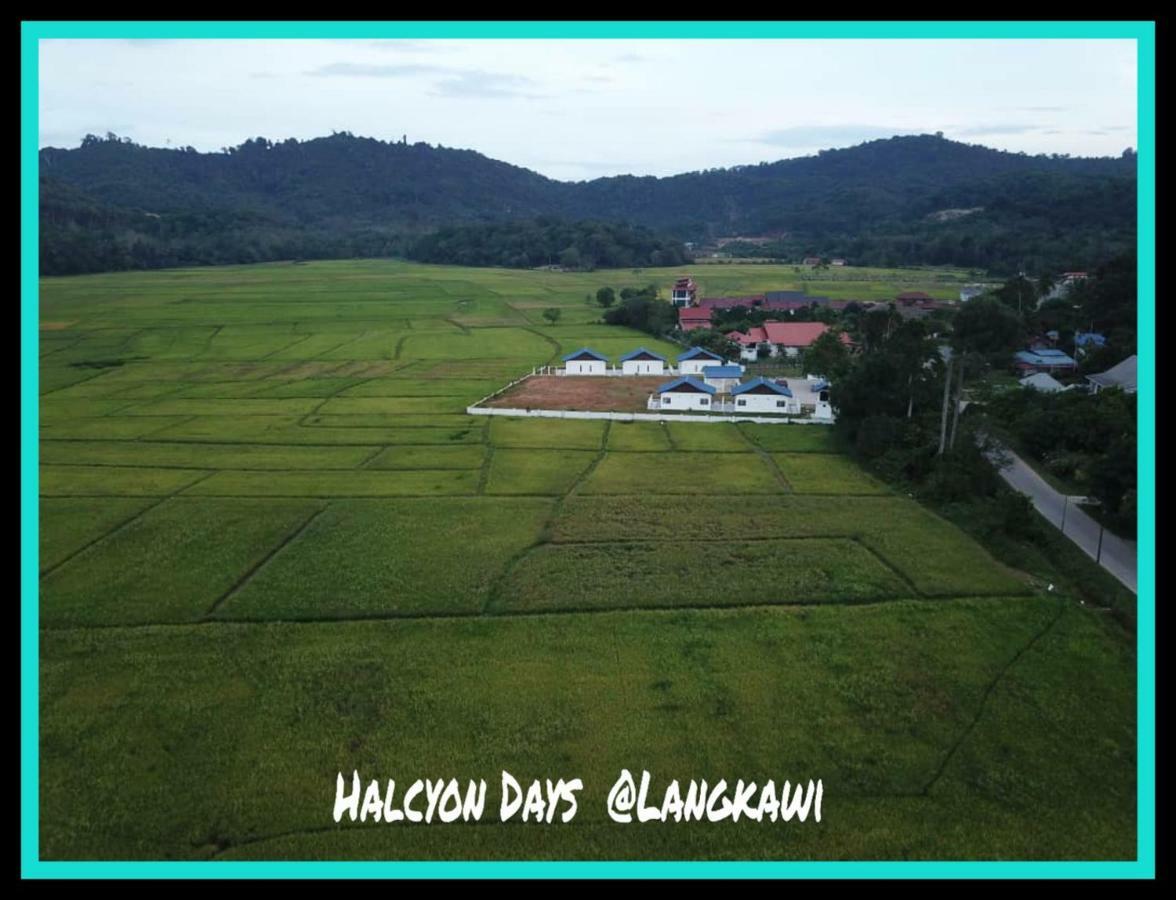 Halcyon Days @ Langkawi Lägenhet Pantai Cenang  Exteriör bild